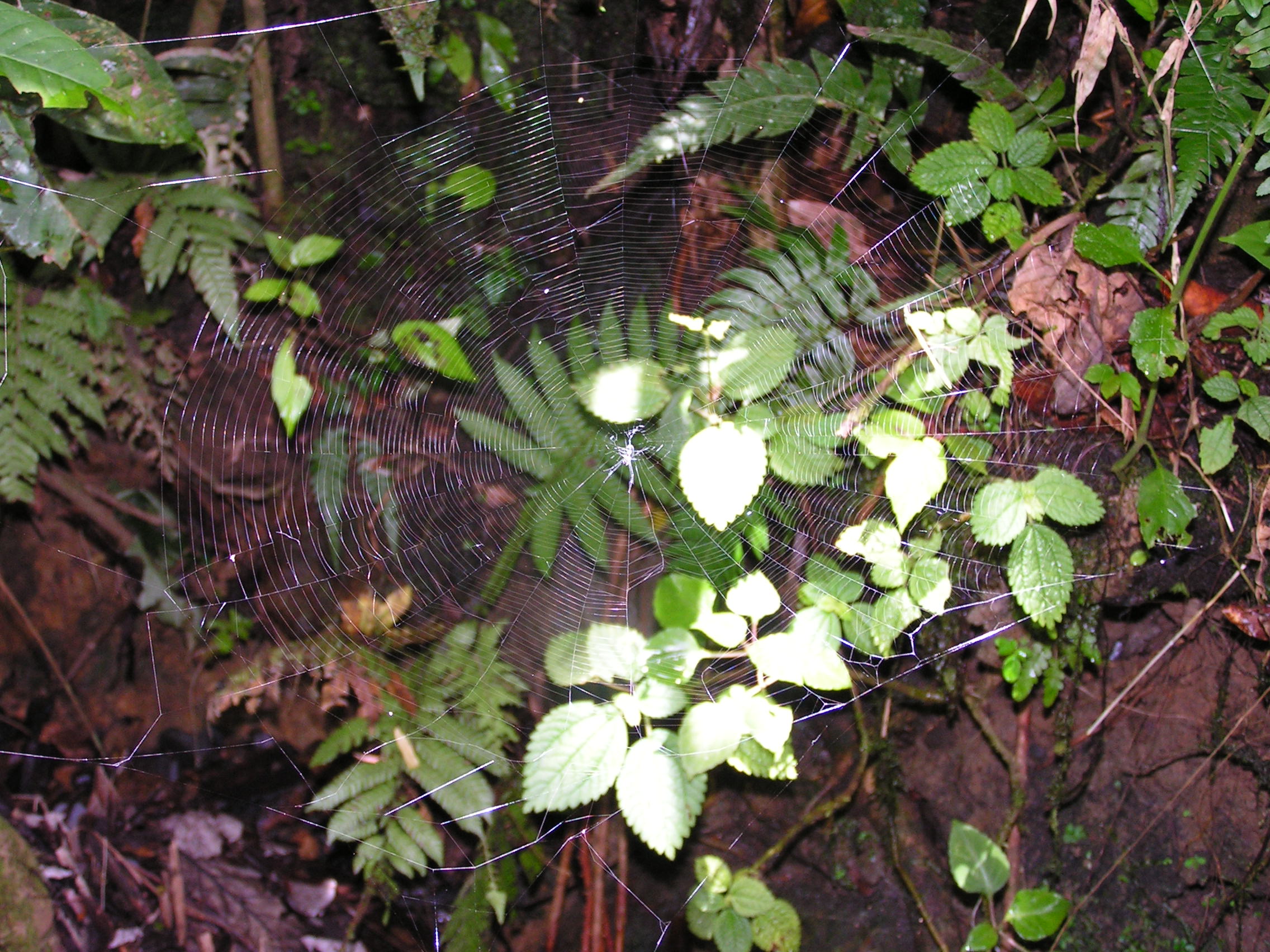 ./2005/Puerto Rico/Part 1/PICT0089.JPG